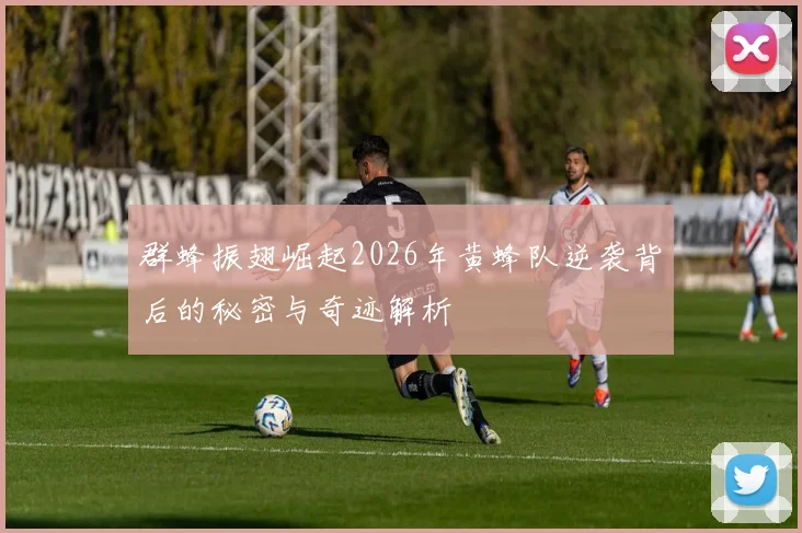 群蜂振翅崛起2026年黄蜂队逆袭背后的秘密与奇迹解析