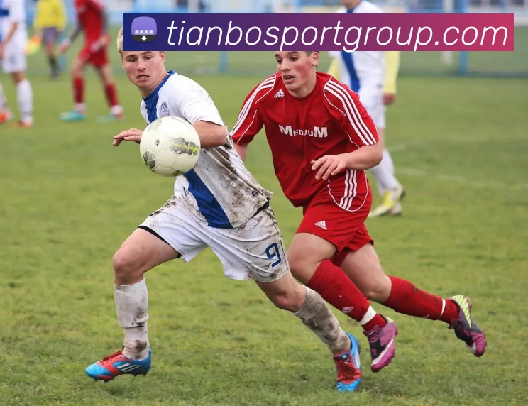 天博足球服务体系